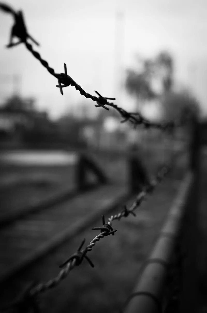 HD barbed wire wallpaper