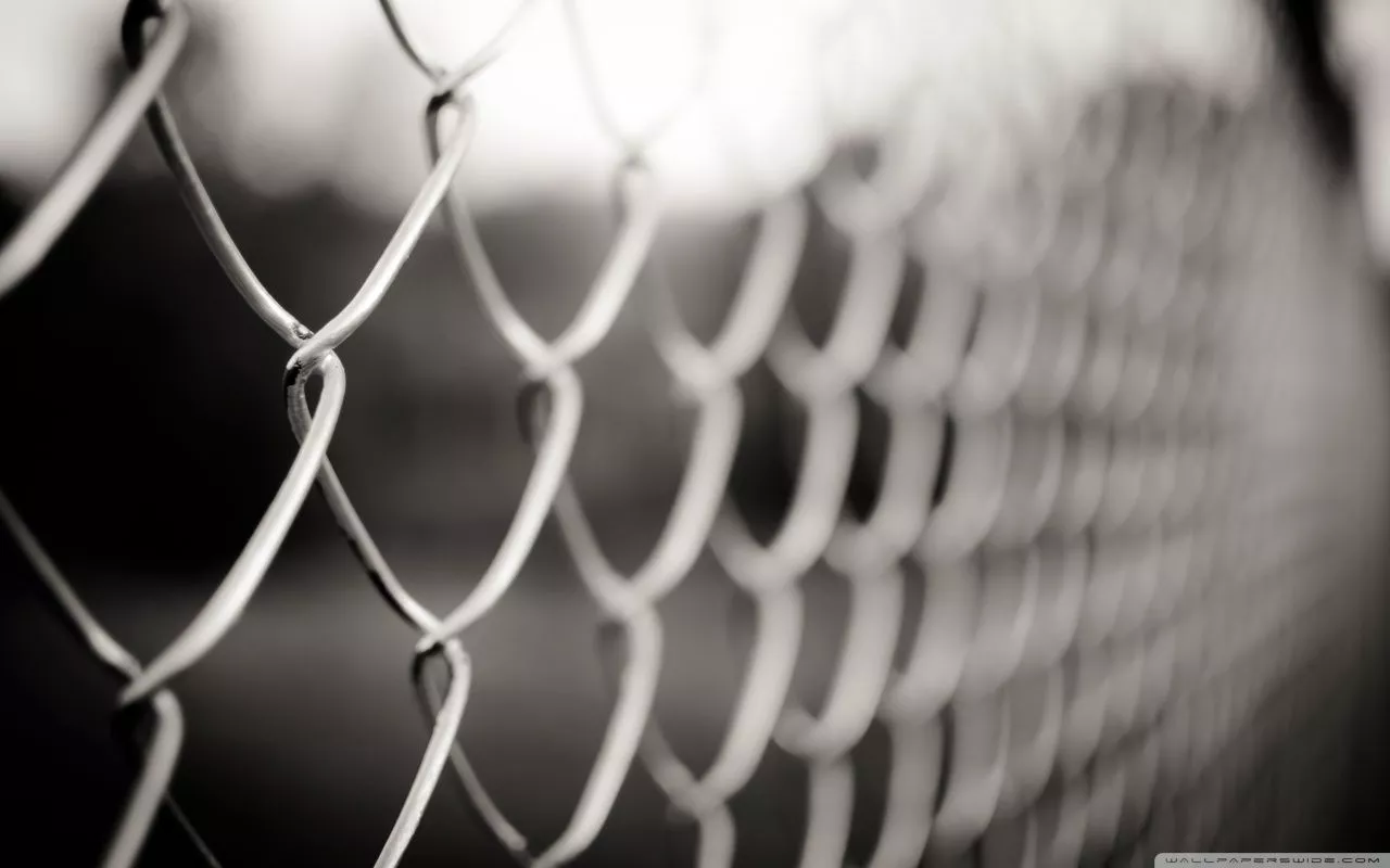 Mesh Fencing Ultra HD Wallpaper for 4K