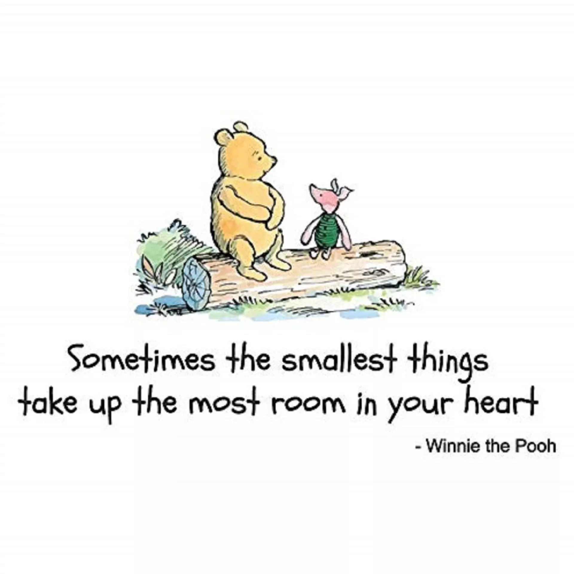 Winnie The Pooh Quotes About Smallest
