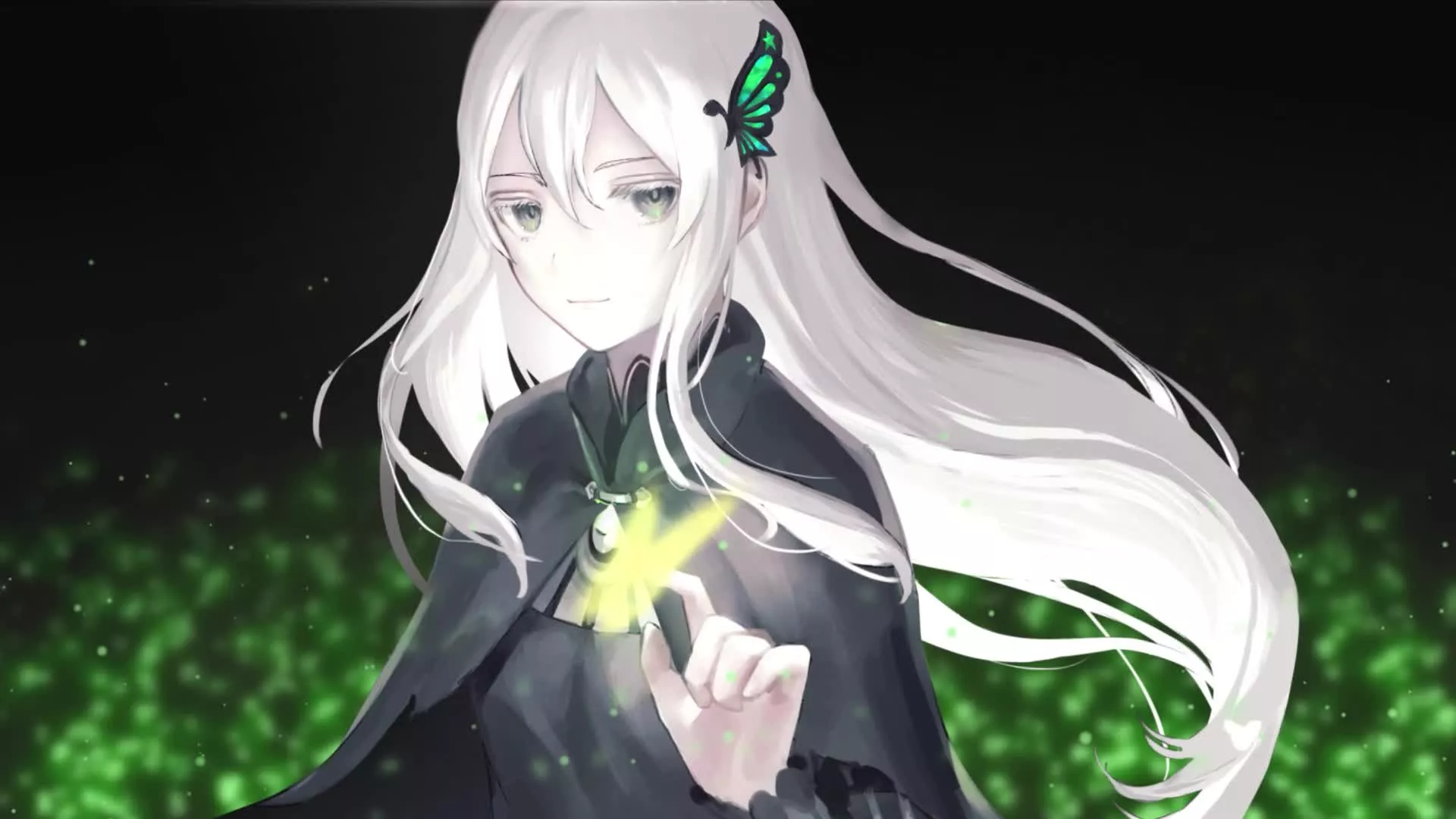 Echidna Live Wallpaper