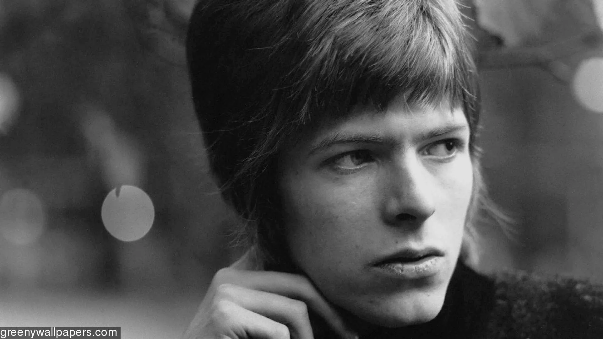 192361 David Bowie Young Davy