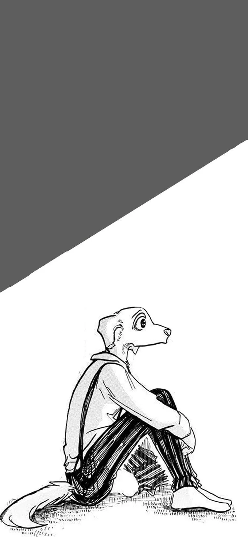 HD jack (beastars) wallpaper