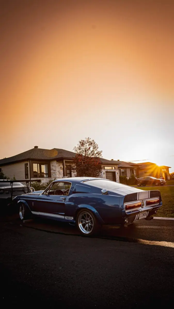 Shelby gt500 1967 wallpaper