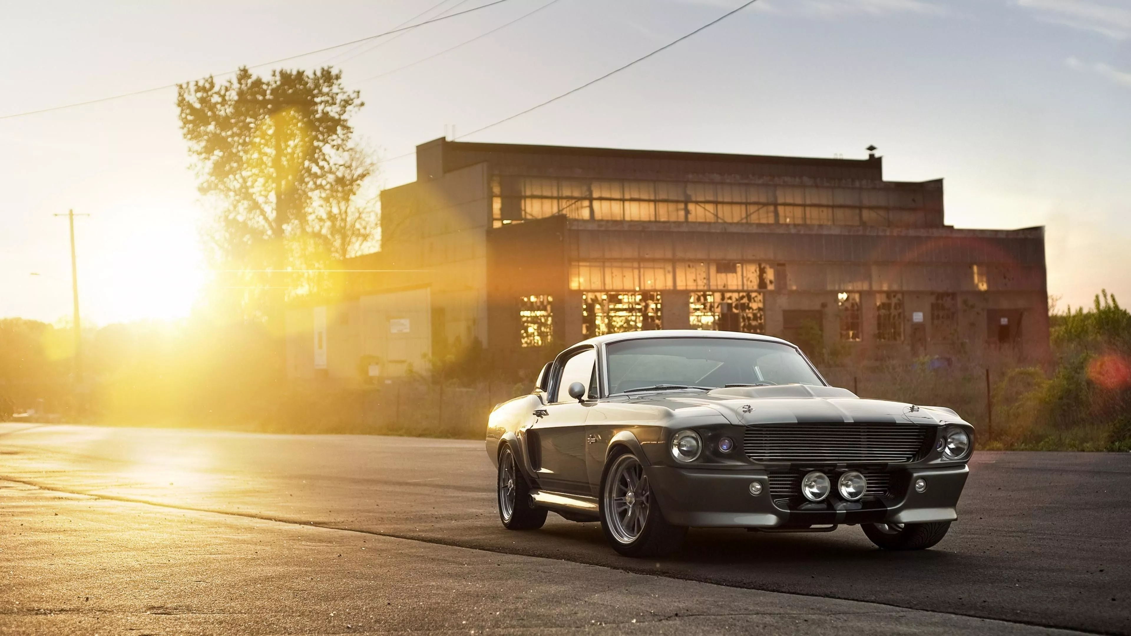 Shelby GT Eleanor Wallpaper