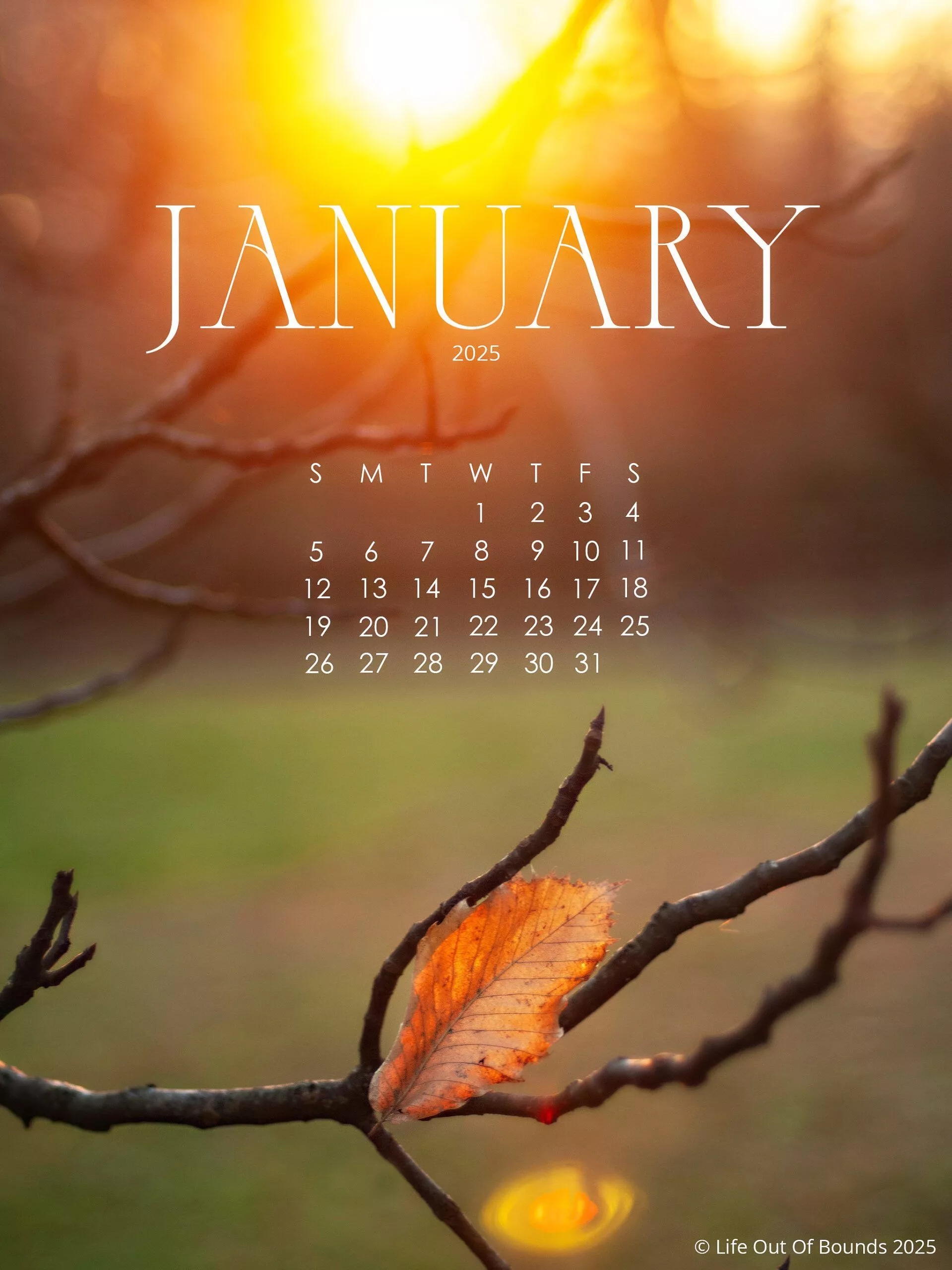 January 2025 calendar wallpaper