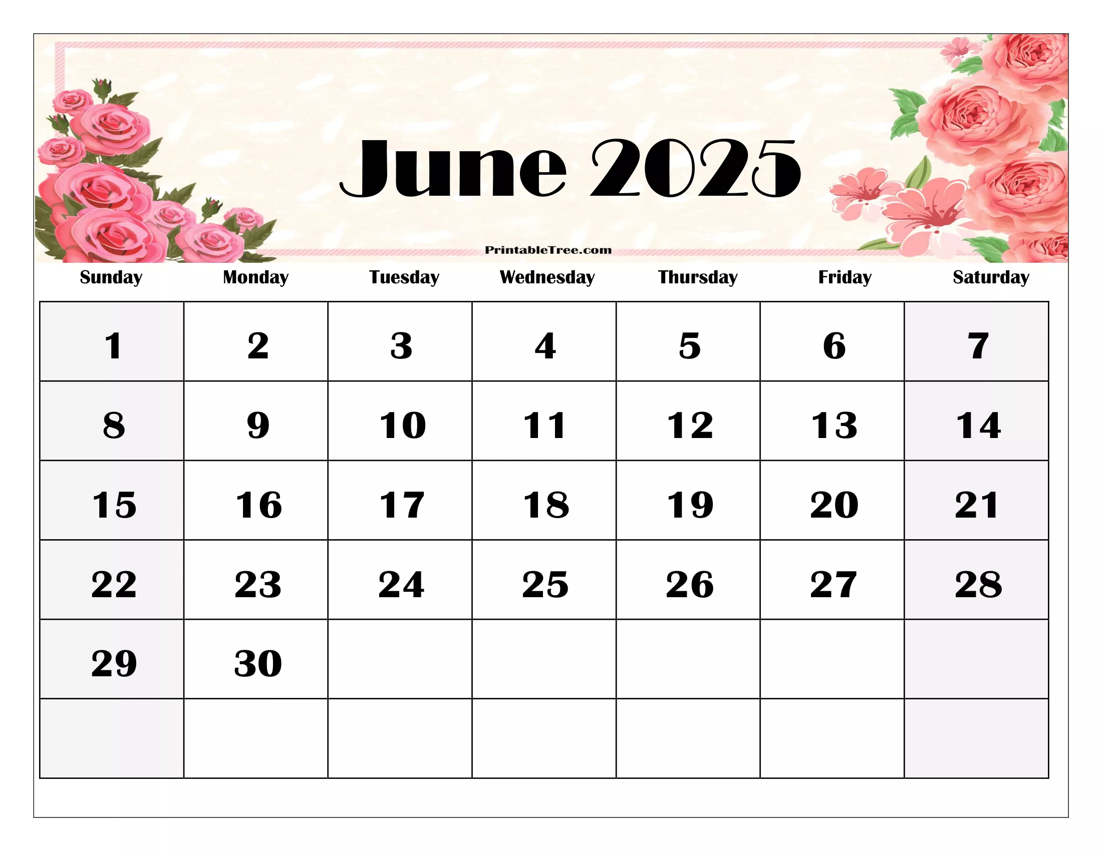 Free June 2025 Calendar Printable PDF