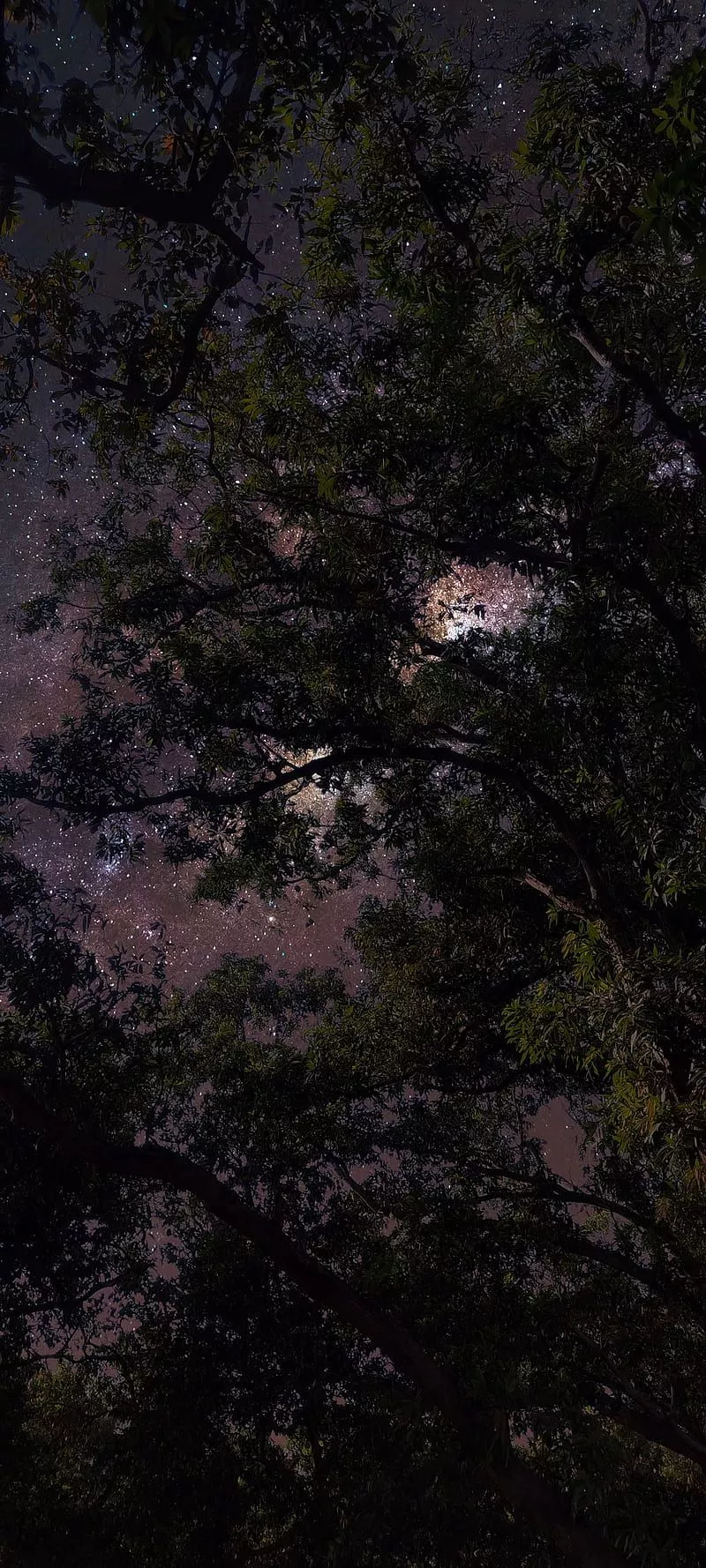 HD black blur wallpaper