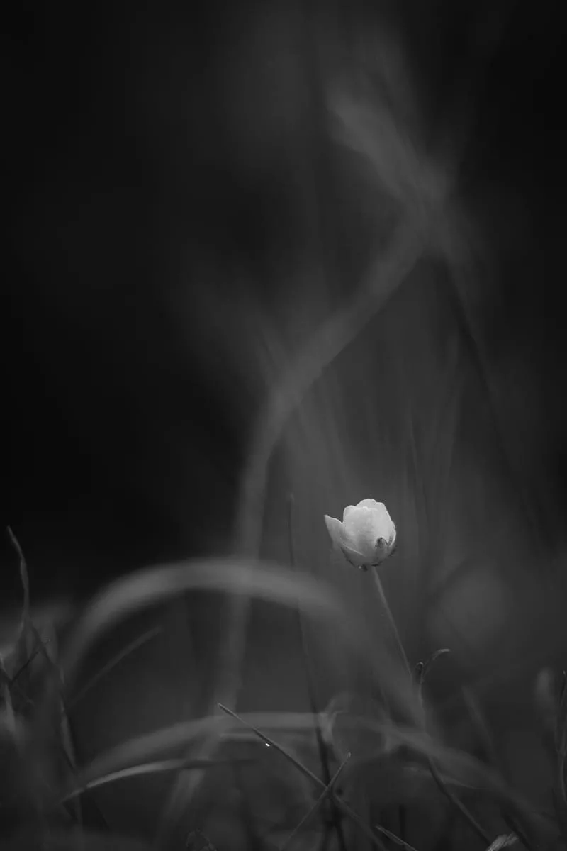 HD blur smoke wallpaper