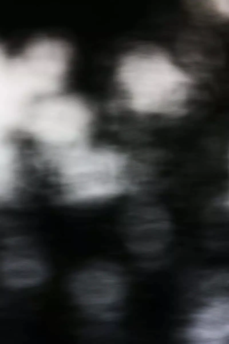 Blurry Image Of A Tree Wallpaper