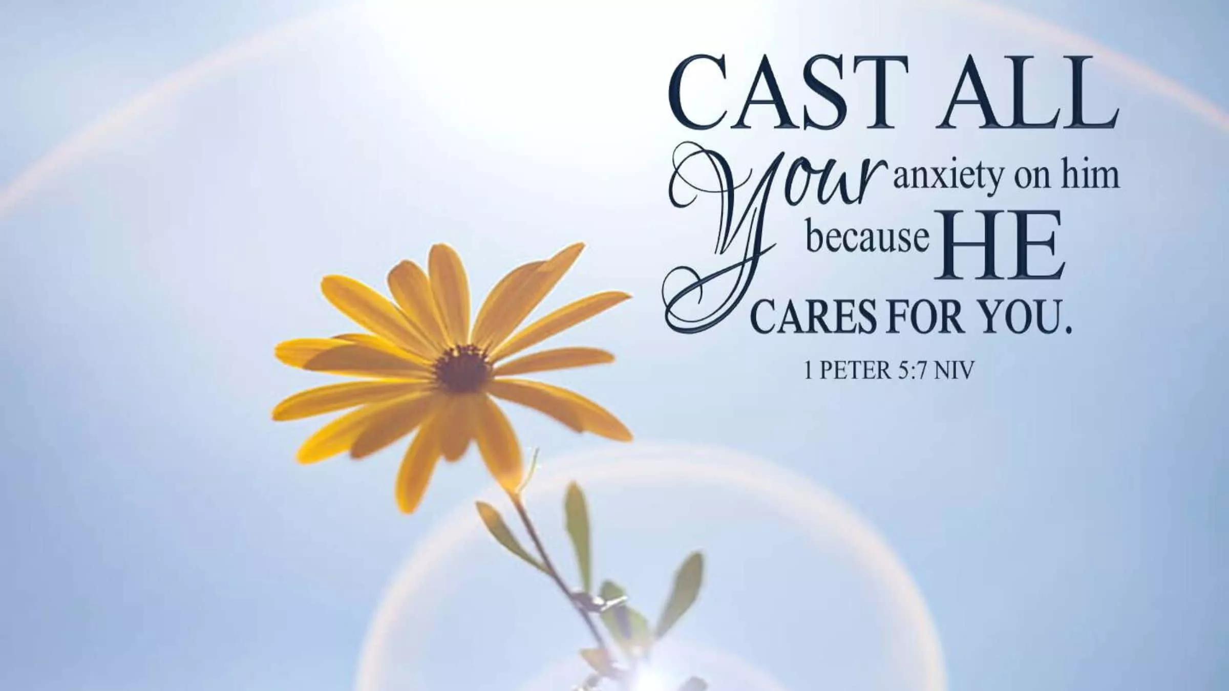 Bible verse on sale background