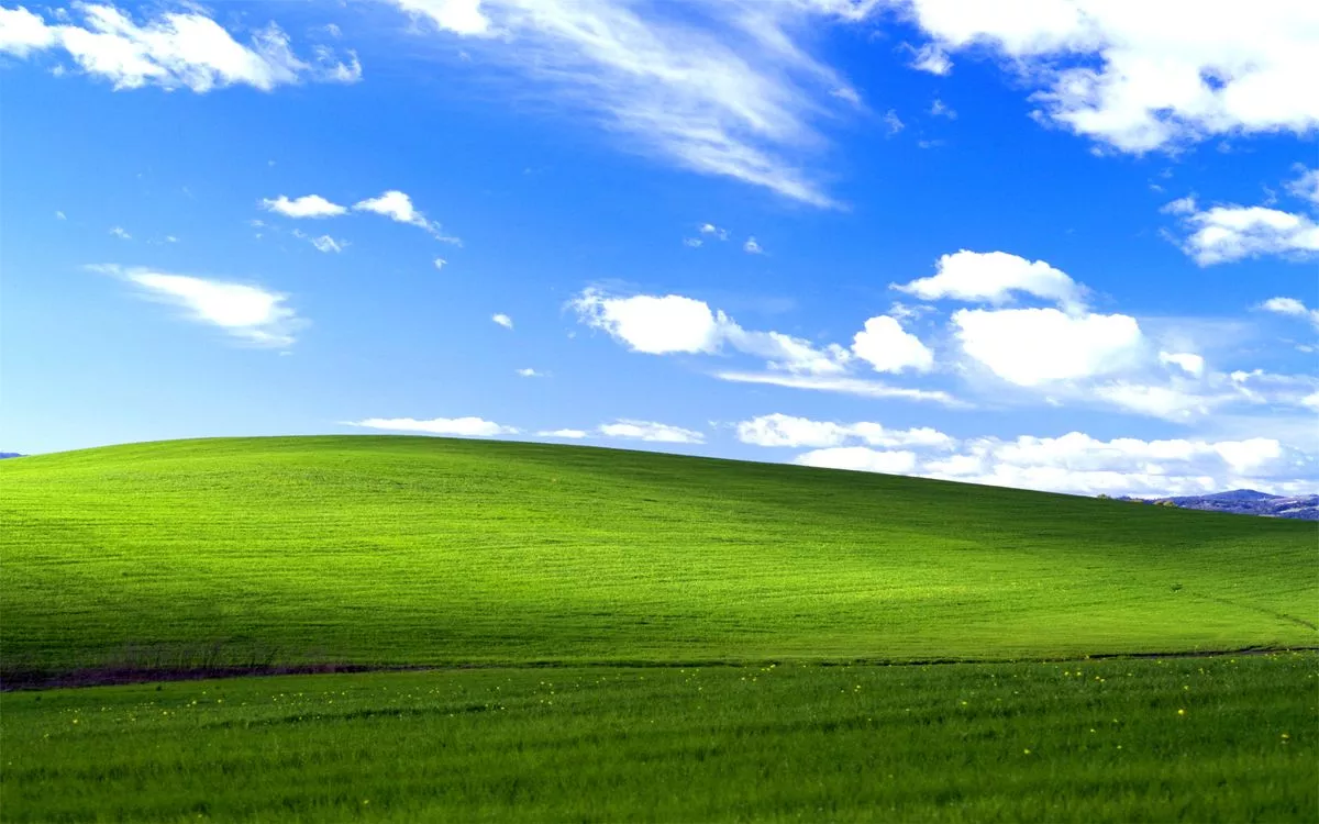 Location of the Microsoft Windows XP