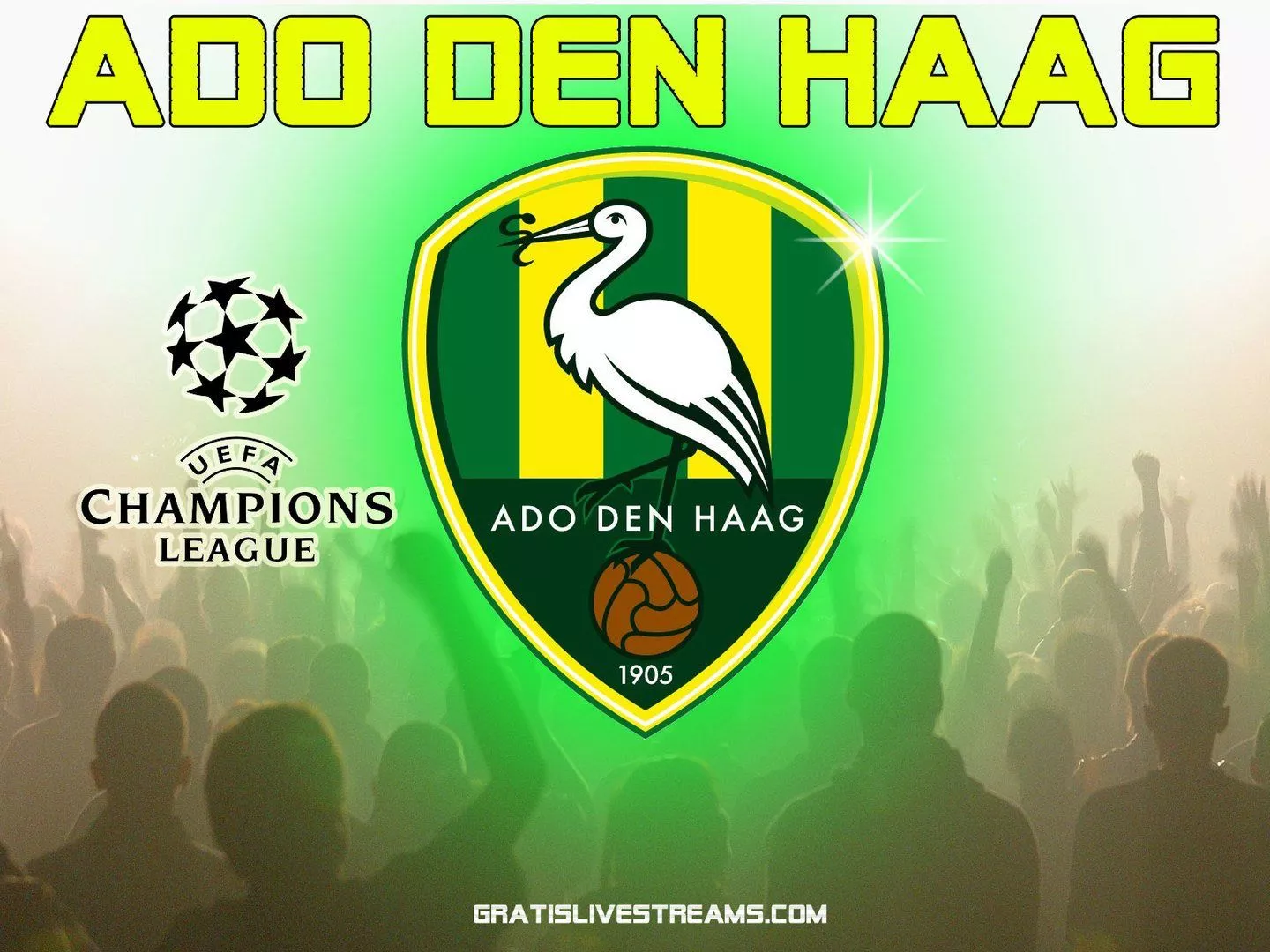 Hero Wallpaper den haag