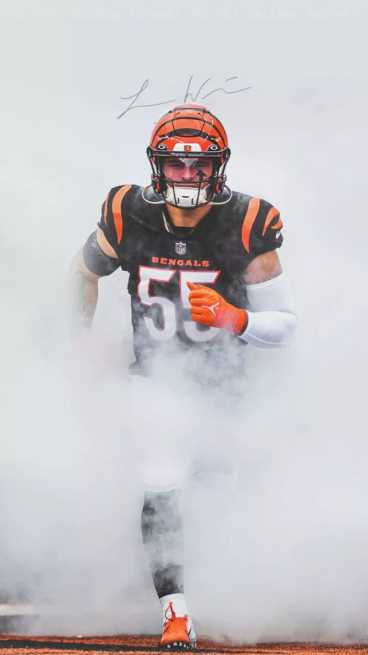 HD Bengals Wallpaper