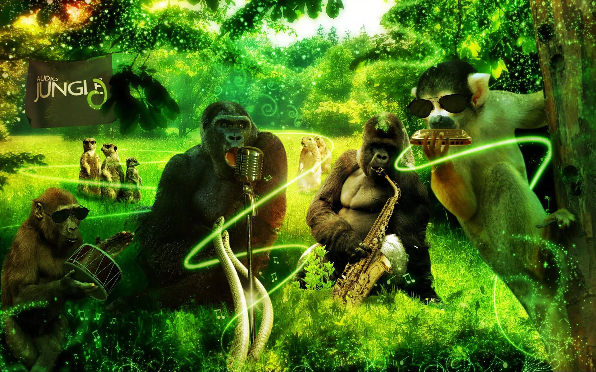 Jungle Wallpaper