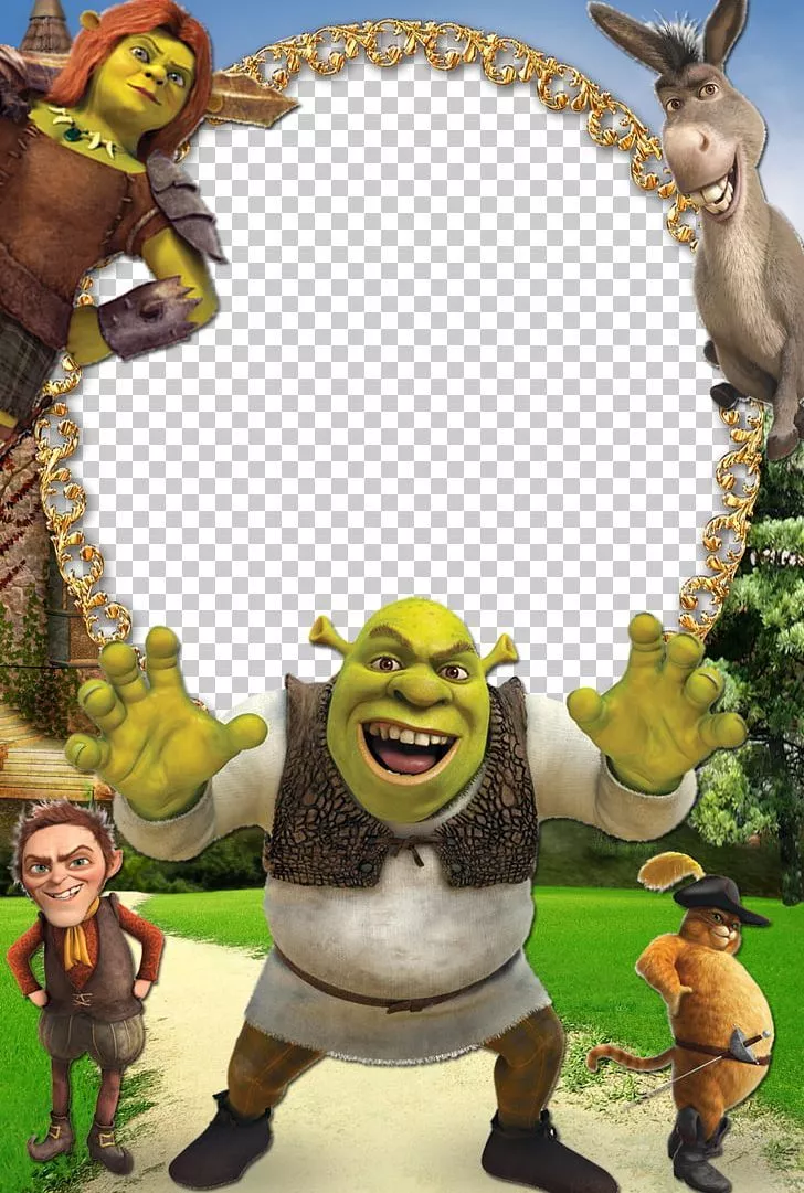 Shrek Forever After Donkey Shrek Film