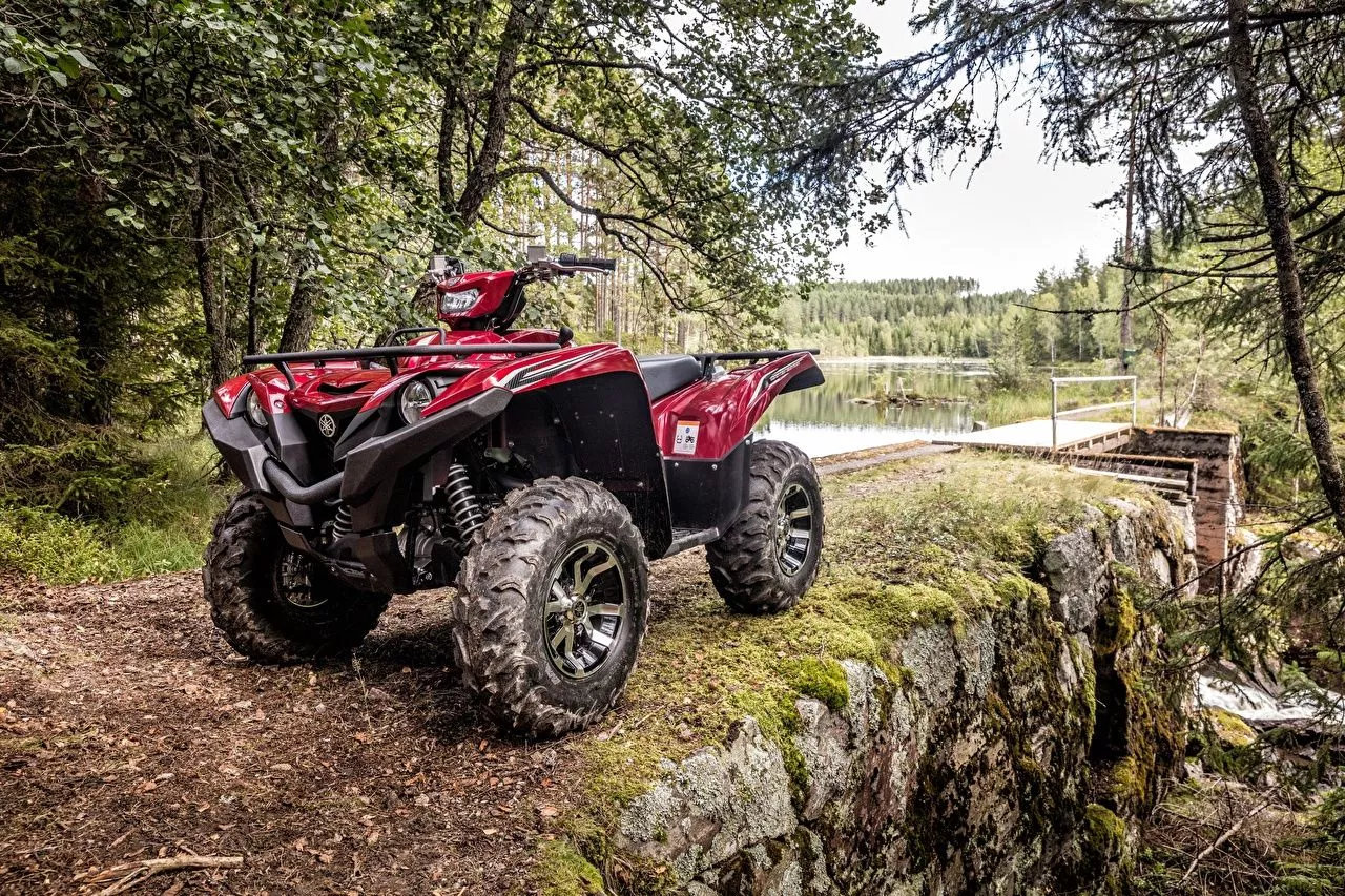Image ATV 2017 Yamaha Grizzly 700 EPS