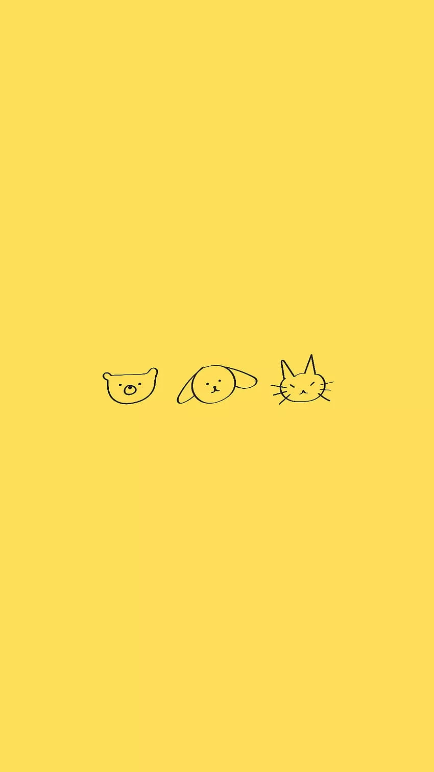 Yellow bear HD wallpaper