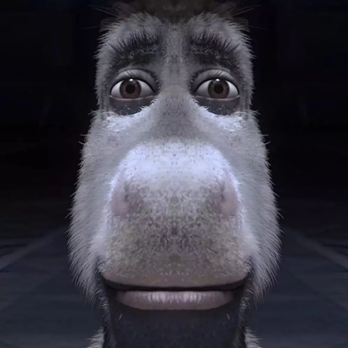 why this pic of donkey from shrek
