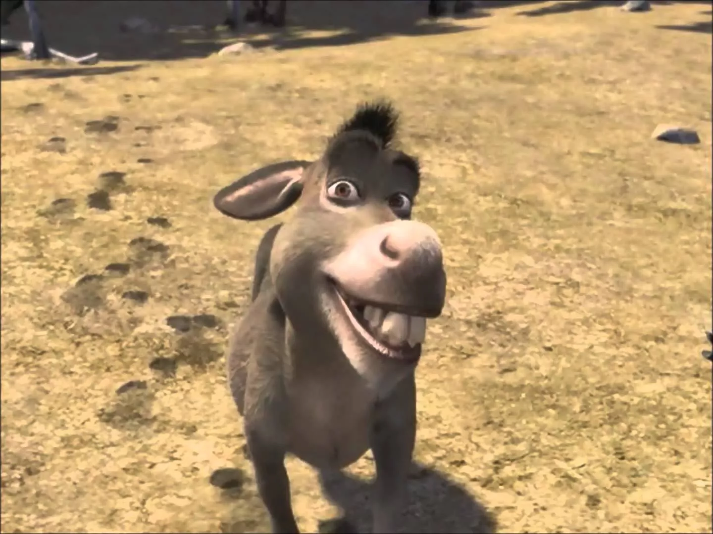 Donkey Shrek Meme Generator
