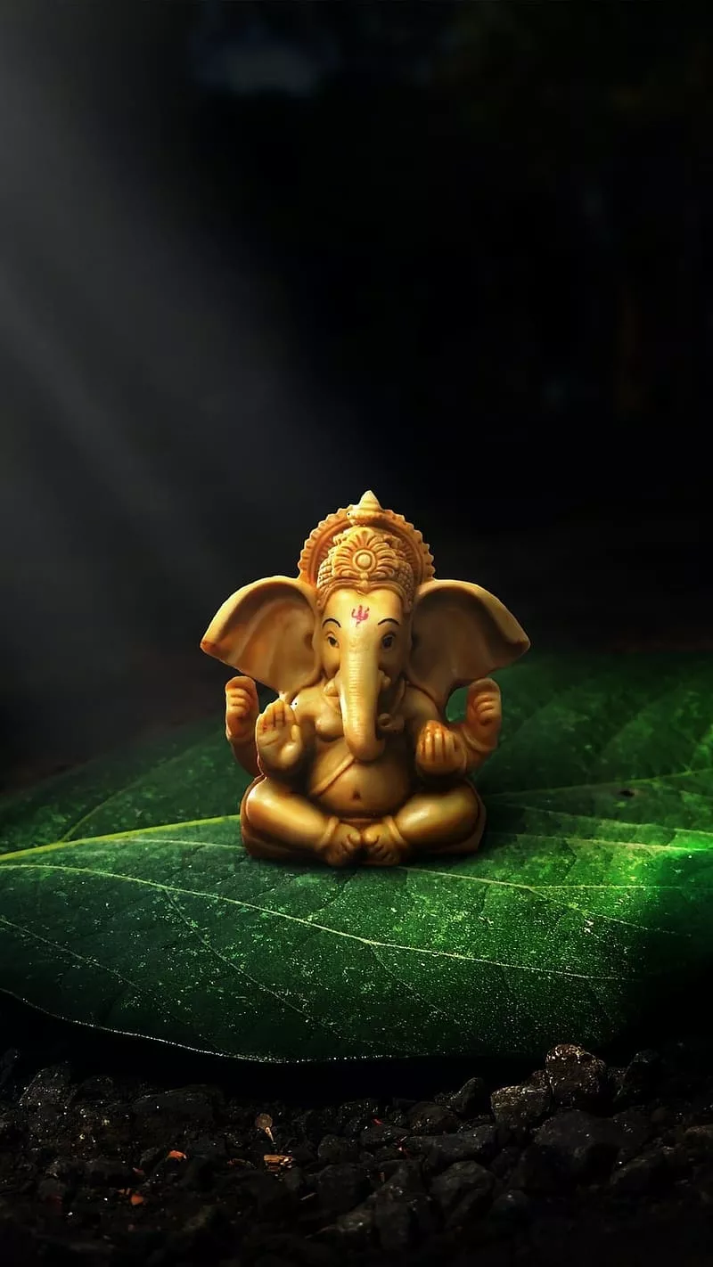 Vinayagar image HD wallpaper store 3D
