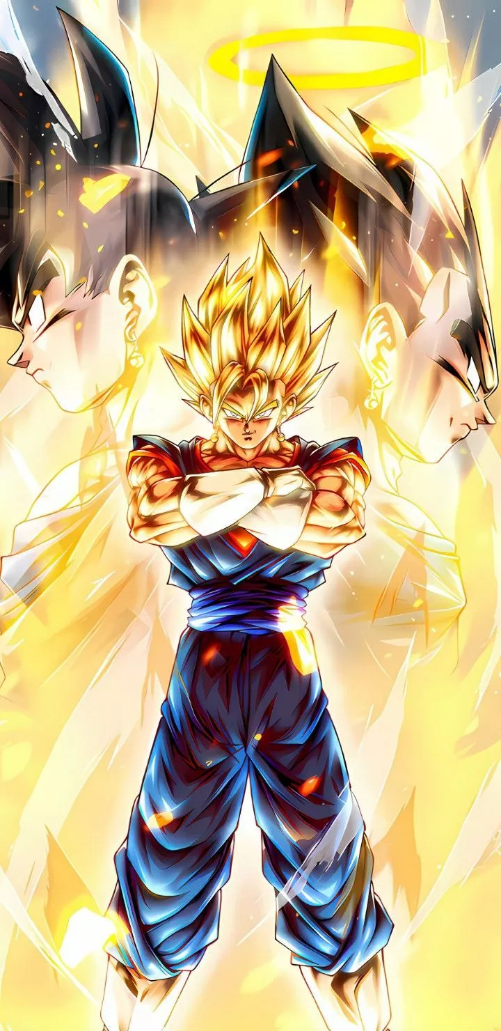 Ultra Rarity Super Vegito 4K