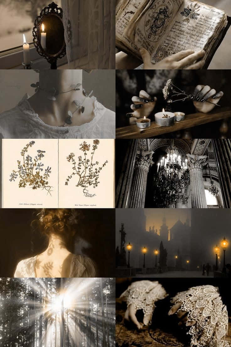 Victorian Aesthetic Wallpaper