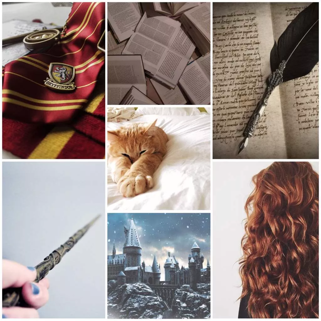 Hermione Granger aesthetic. Harry