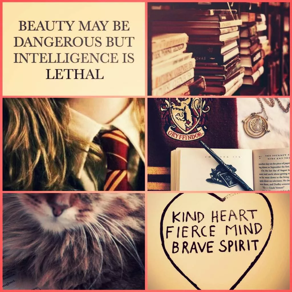 Hermione Granger Aesthetic. Harry
