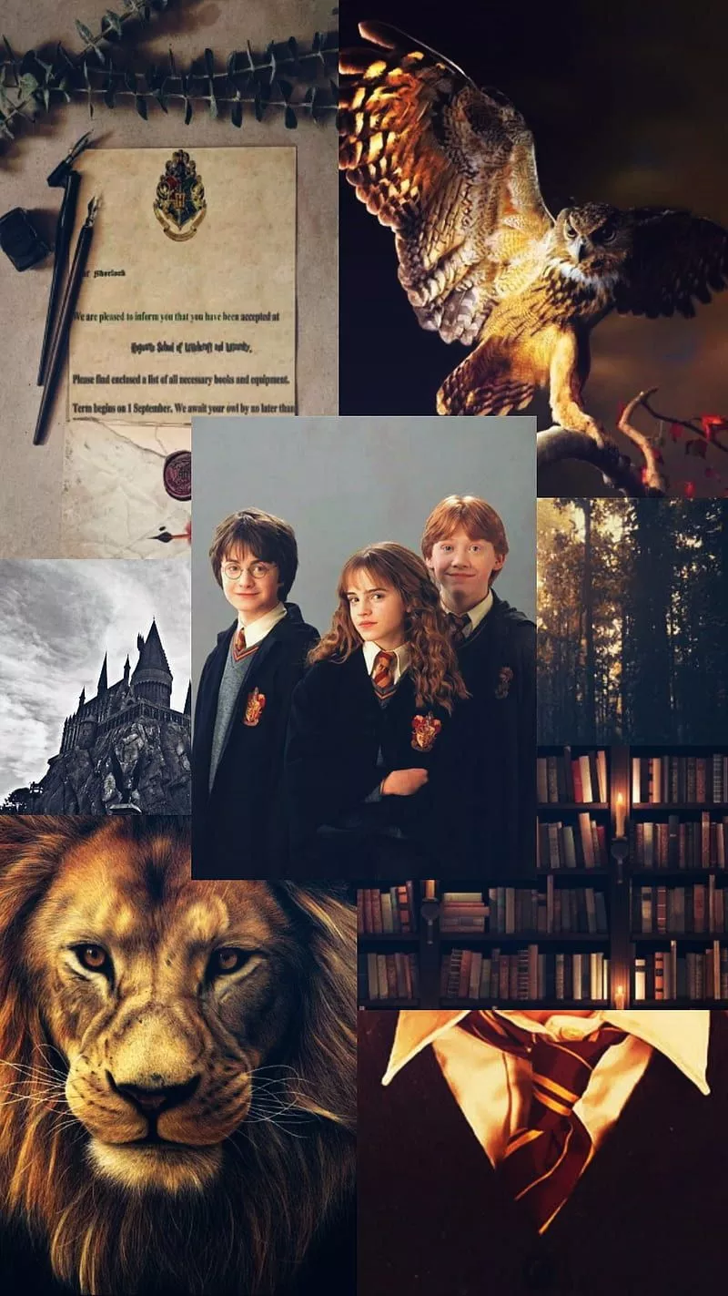 The Golden Trio, gryffindor, harry