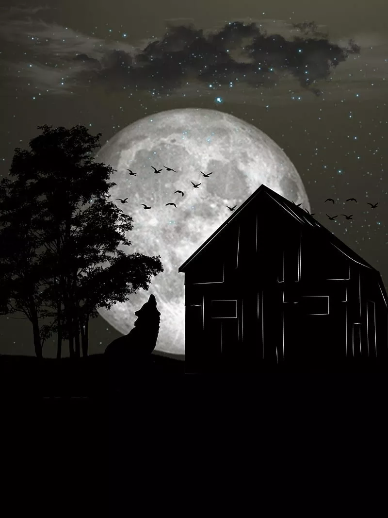 HD night cabin dark wallpaper