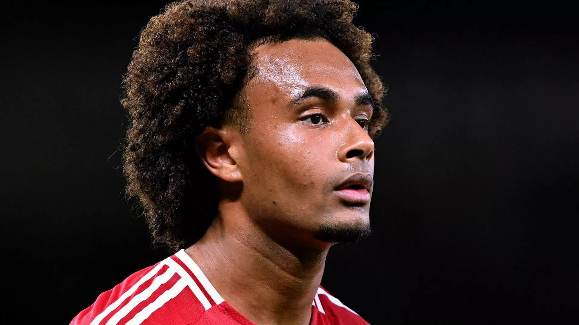 Joshua Zirkzee Manchester United F.C