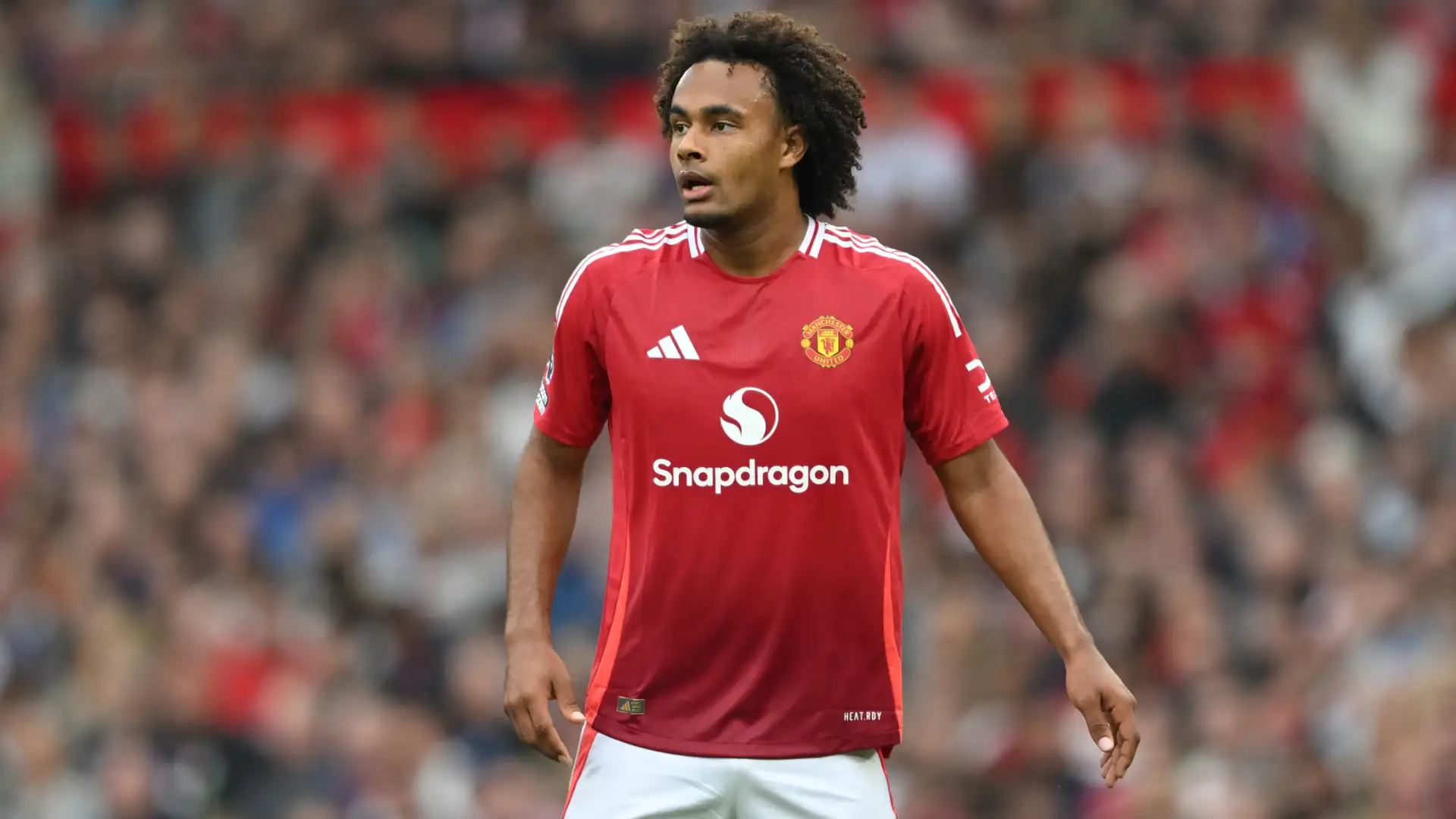 Joshua Zirkzee already 'looks a bit