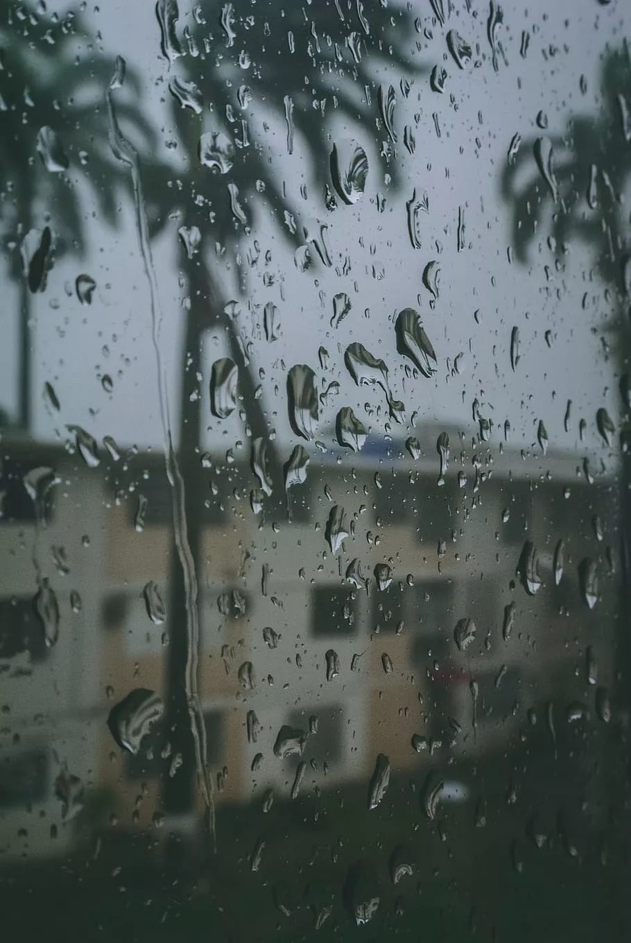 rainy background 1080P, 2K, 4K, 5K HD