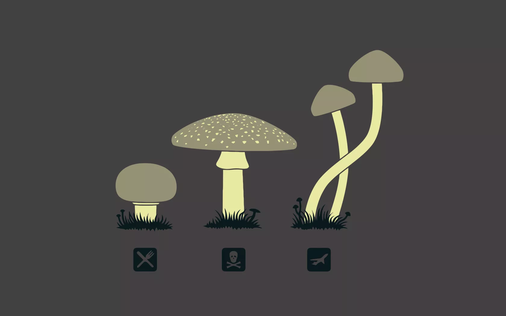 Mushroom Minimalism Wallpaper, HD