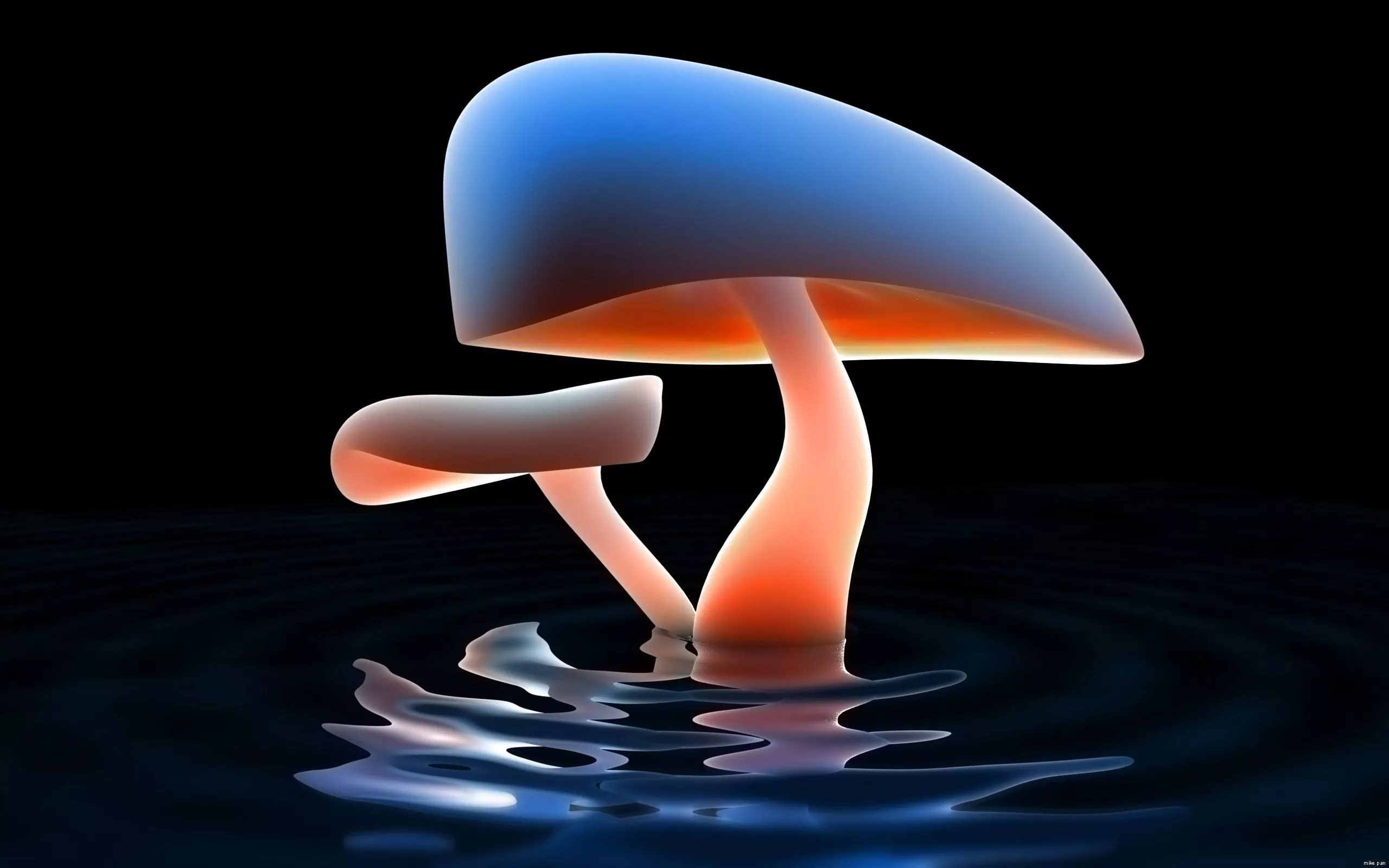Mushroom Lake Wallpaper. HD
