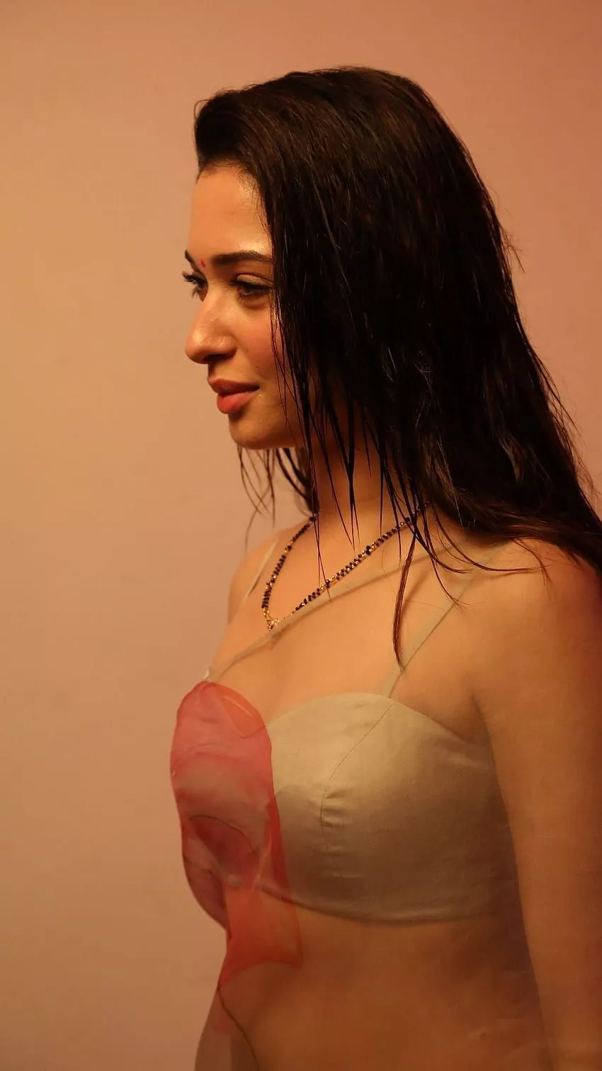 Tamanna Bhatia, saree beauty, bollywood
