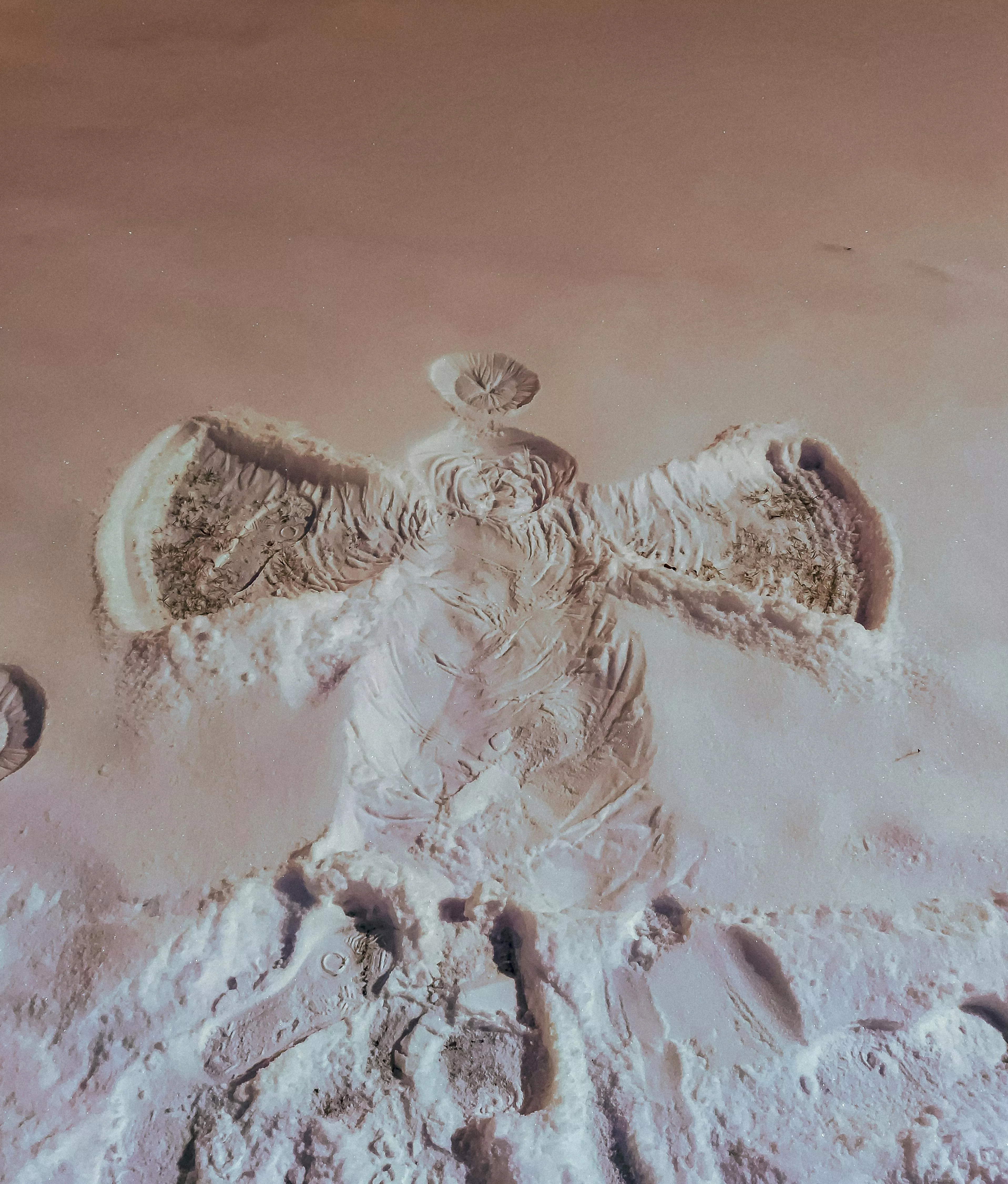 Snow Angel Photo, Download The BEST