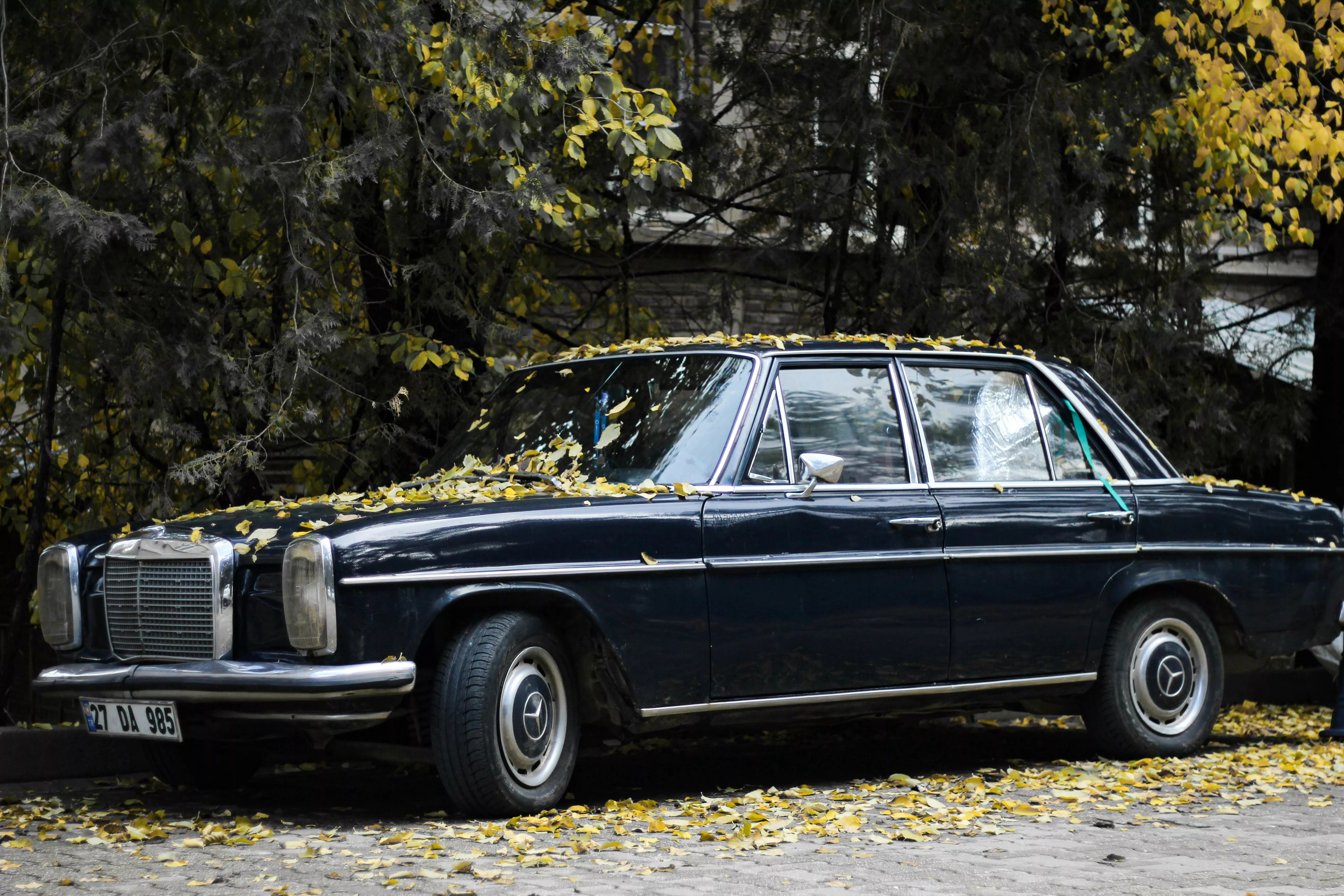 A Mercedes Benz W114 Parked Under