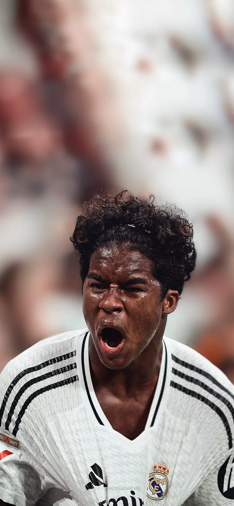 MONTADAR HQ Wallpaper