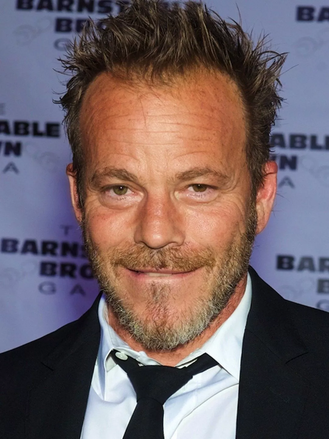 Stephen Dorff Picture