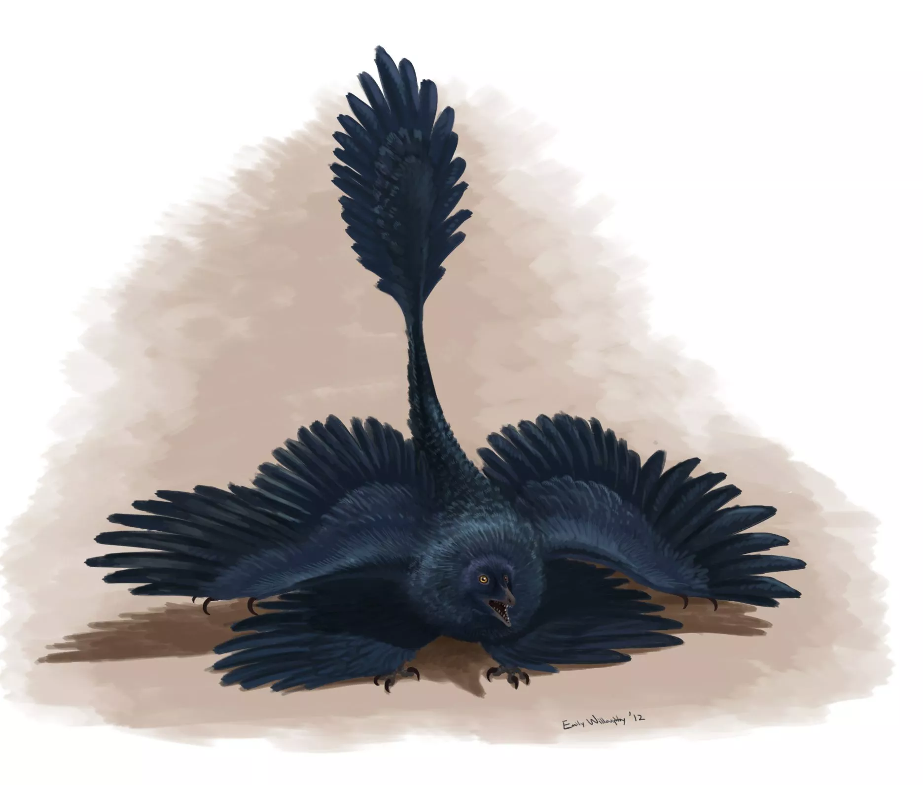 Microraptor Threat Display