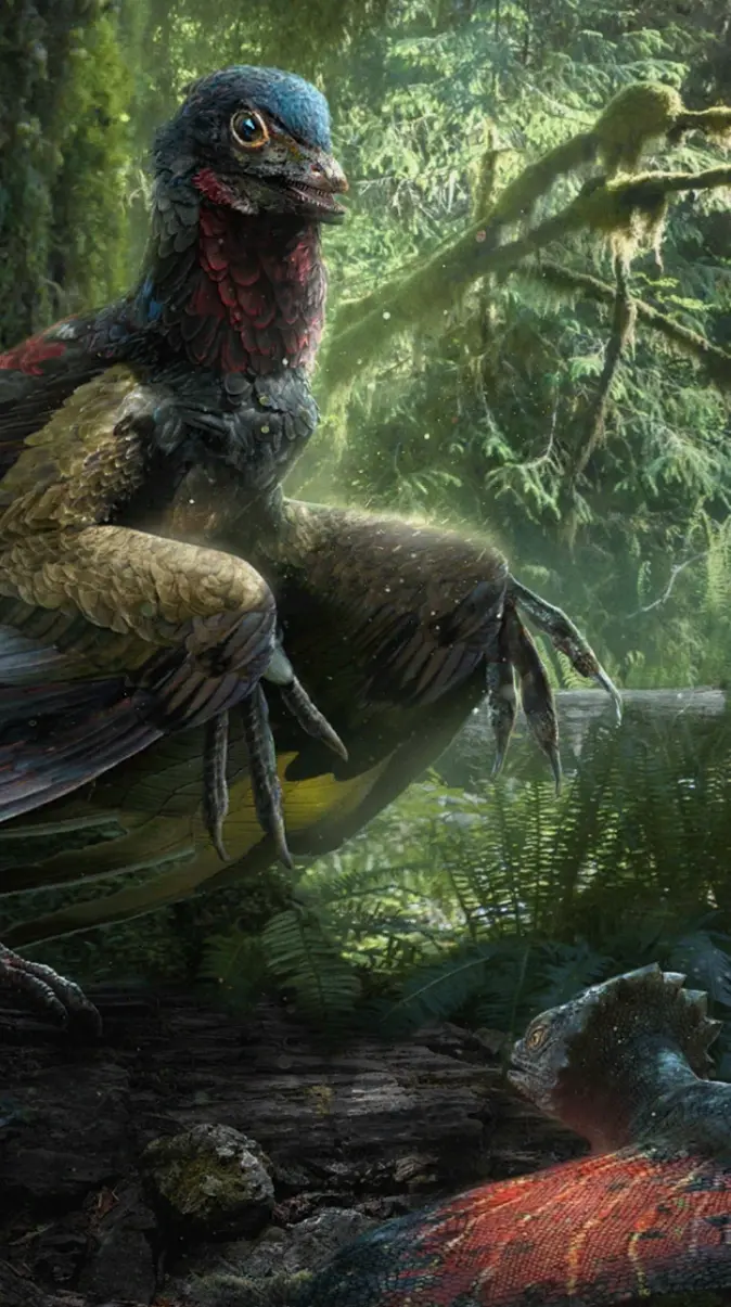 Microraptor wallpaper