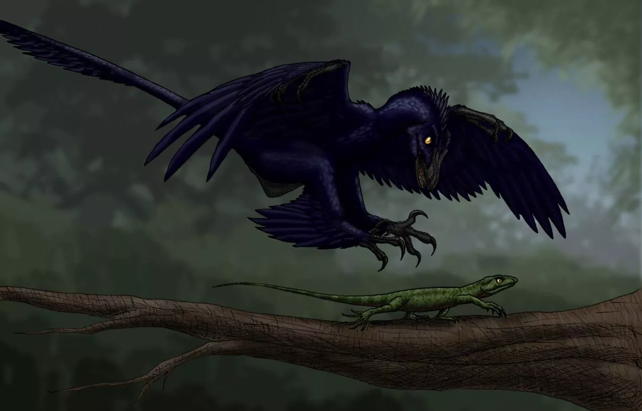 Microraptor hunting a small lizard on a