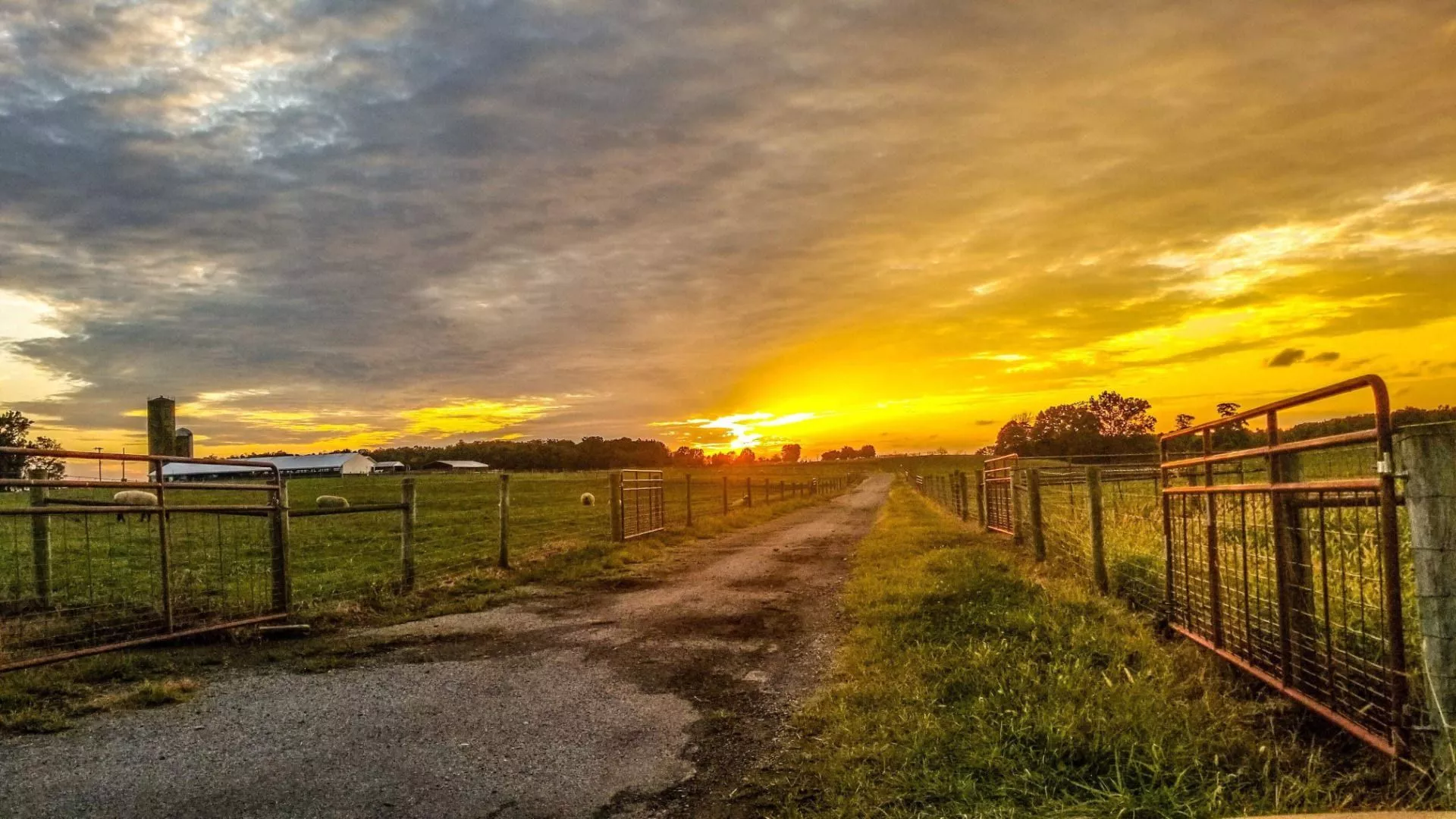 Electric Fencing for Sheep. OSU Sheep Team