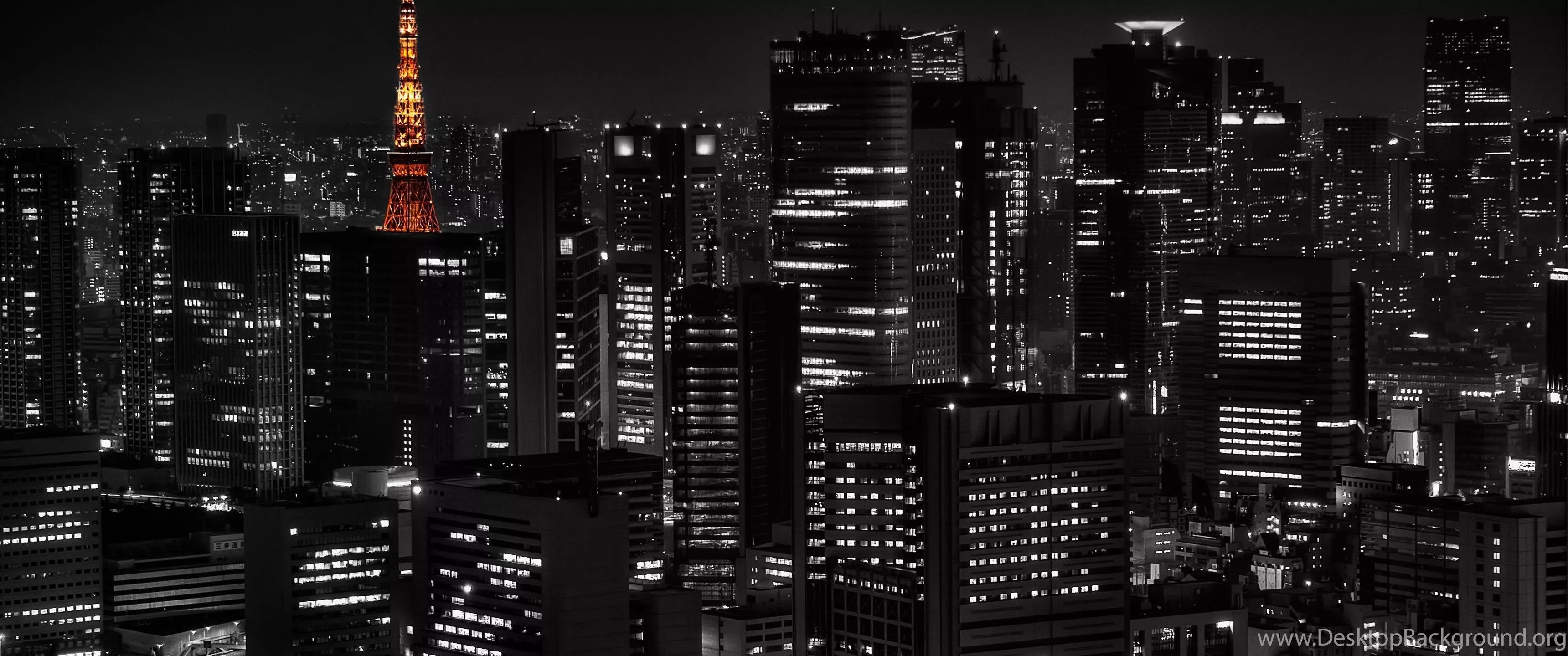 Japan Night Tokyo HD Wallpaper Desktop