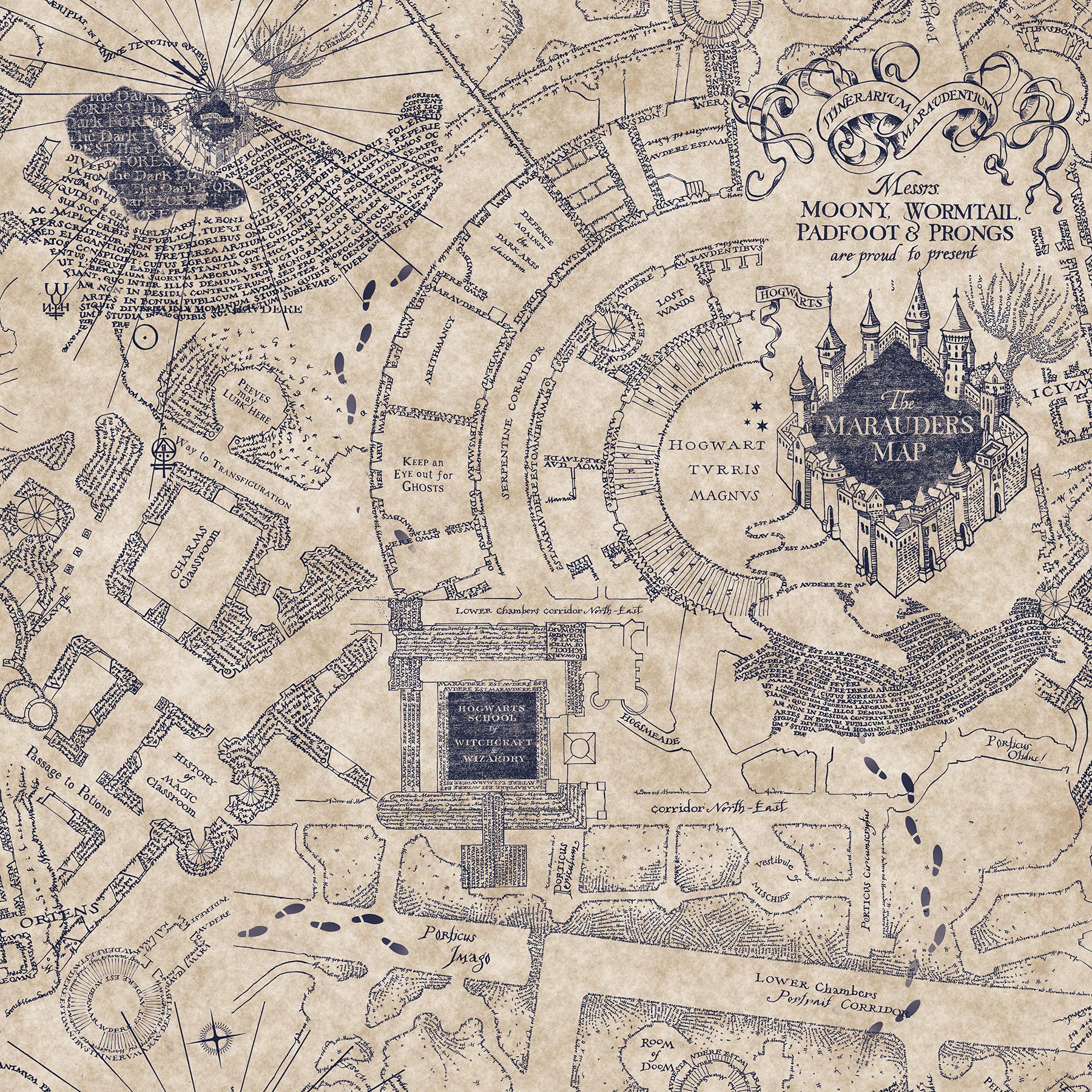 Roommates Harry Potter Marauder'S Map