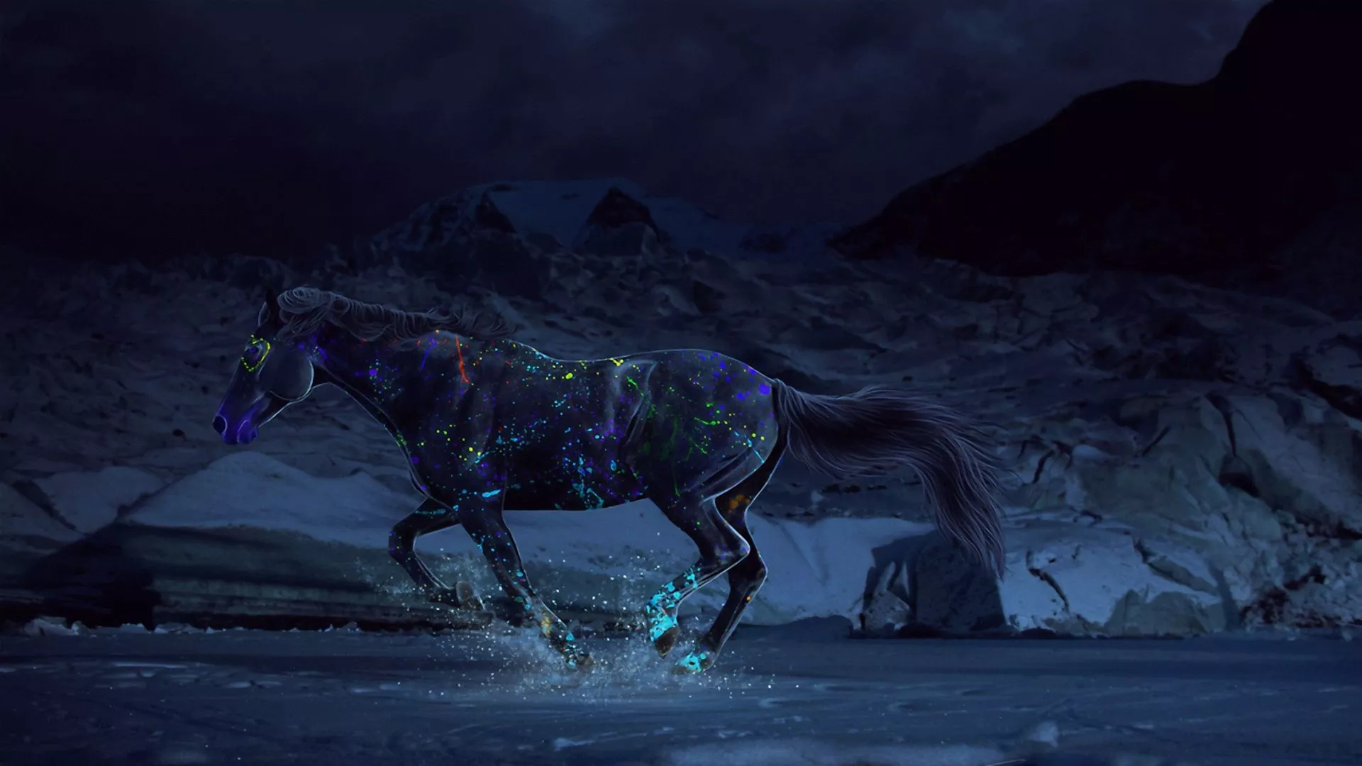 horse, paints, water Wallpaper, HD Fantasy 4K Wallpaper, Image and Background