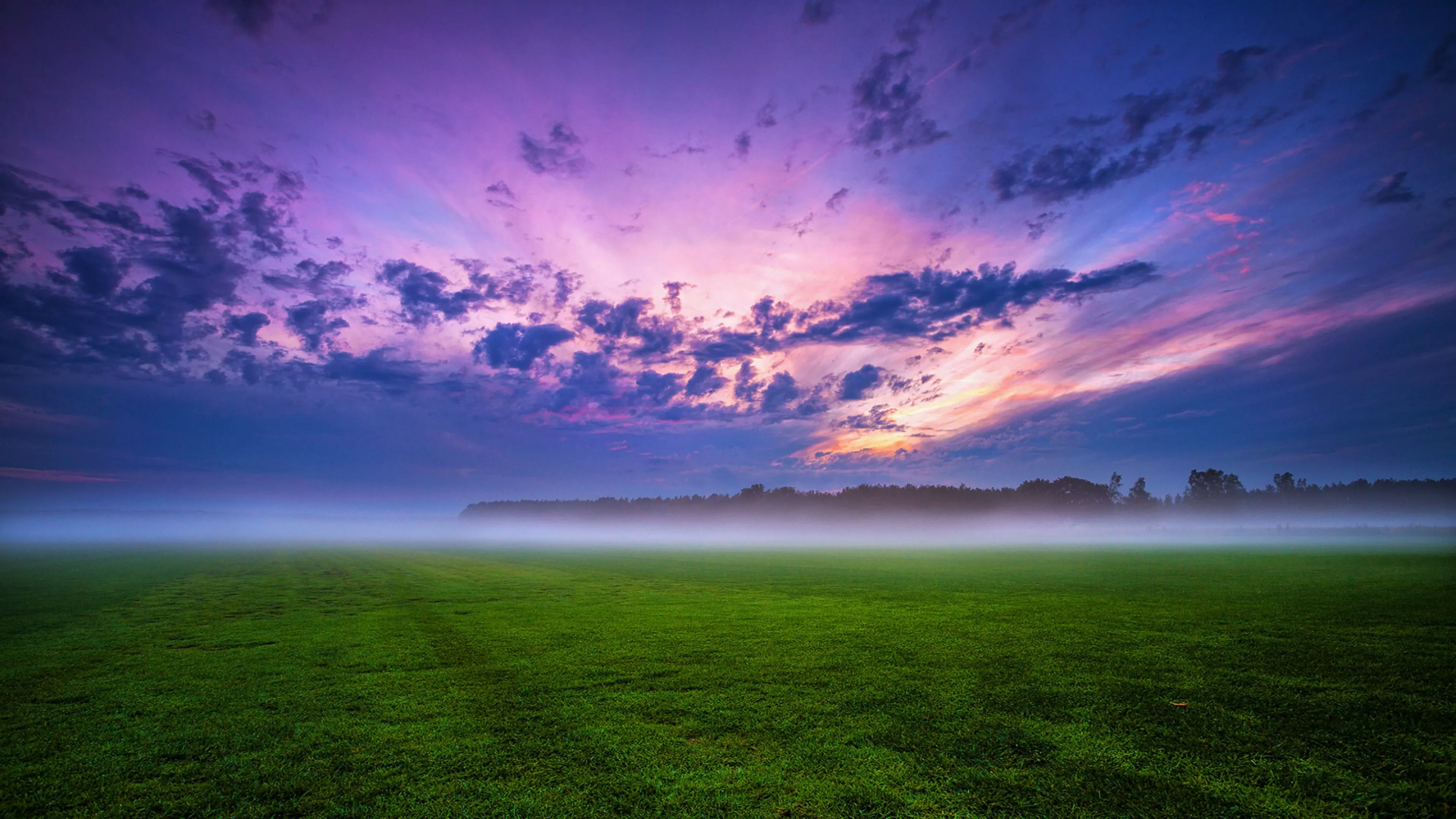 Green Grass And Fogg Under Purple Sky
