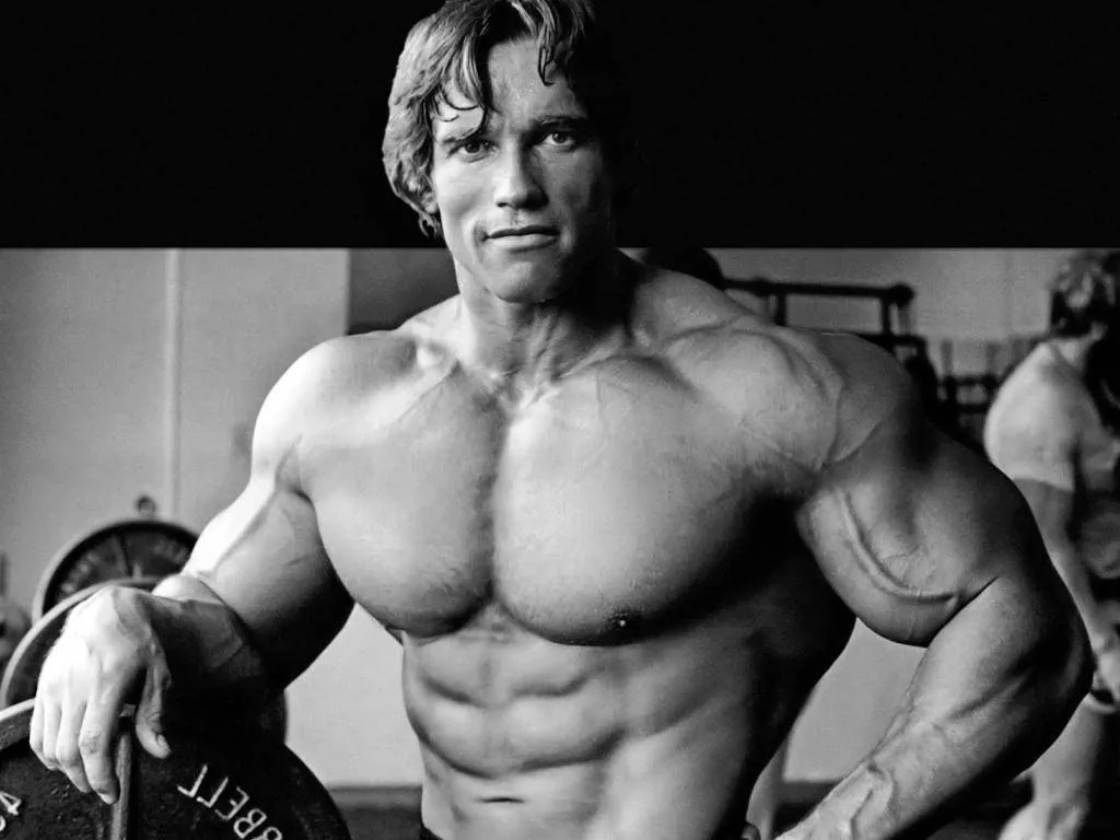 Big Muscle Arnold Schwarzenegger