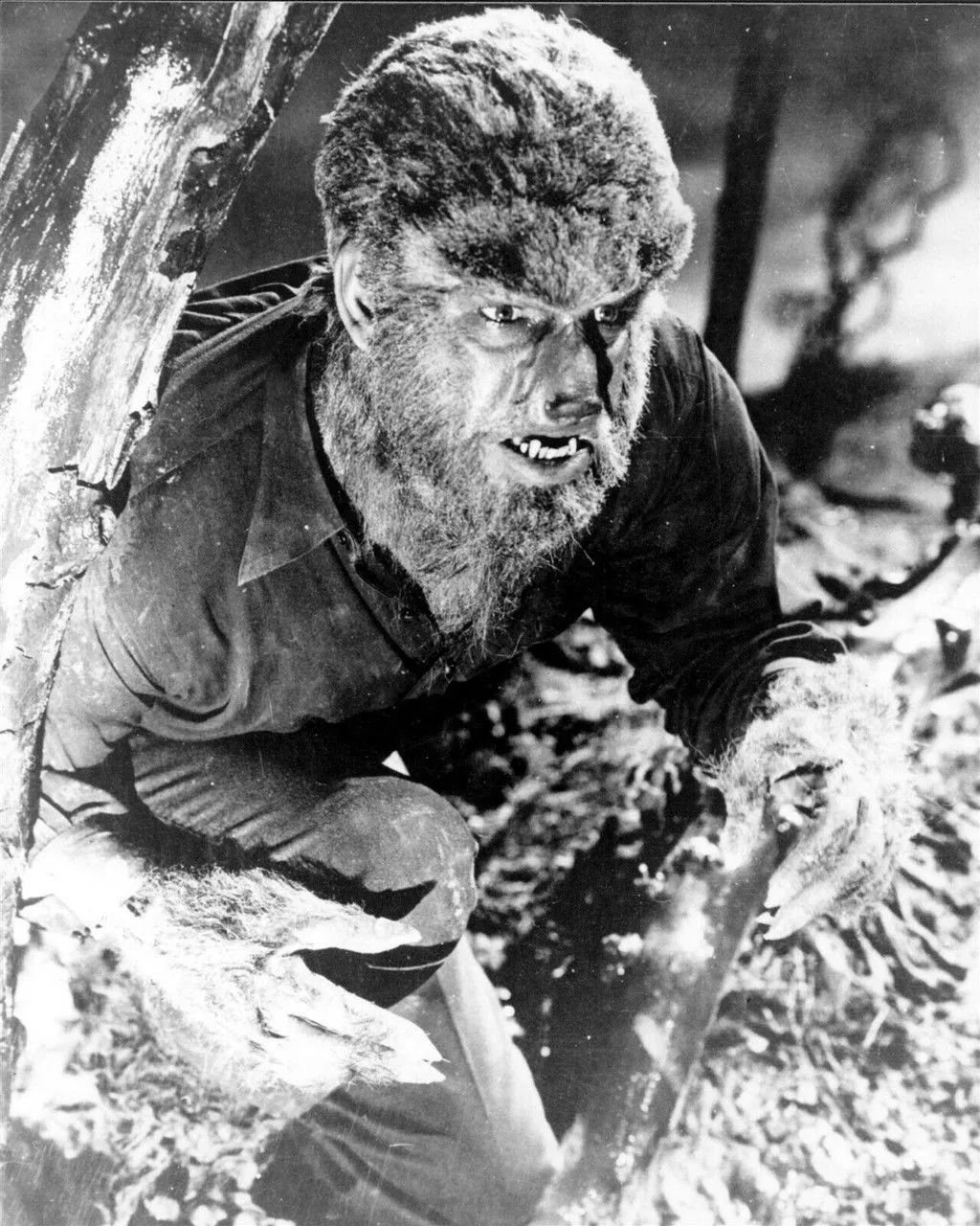 Lon Chaney Jr hides in tree 8x10 inch